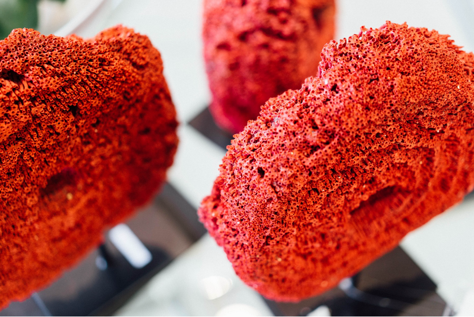 Red coral decor