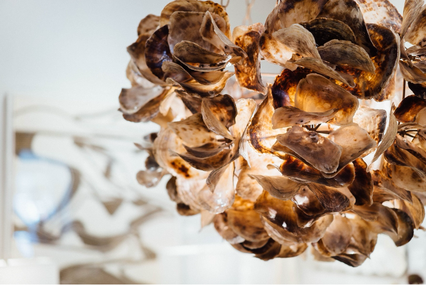 A floral like chandelier